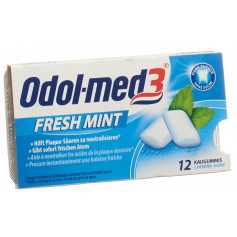 Odol Kaugummi Fresh Mint