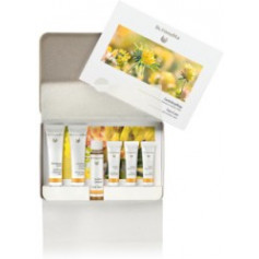 Dr. Hauschka Gesichtspflege Set