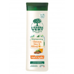 L'ARBRE VERT shampooing éco cheveux secs