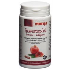 MORGA grenade capsules végétales