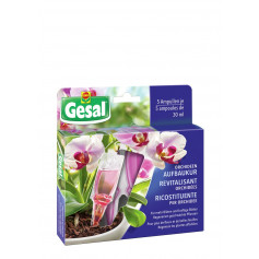 Gesal revitalisant orchidées