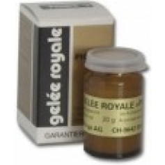 Pionier Gelée Royale pur